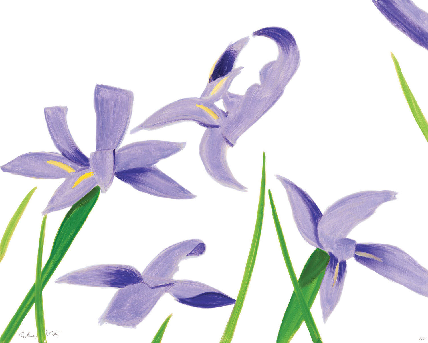 Purple Irises on White Alex Katz Afdruk te koop