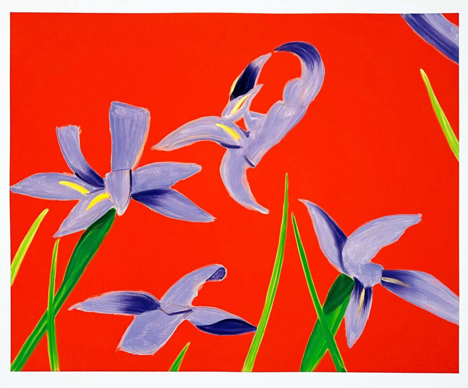 Purple Irises on Red Alex Katz Stampa in vendita