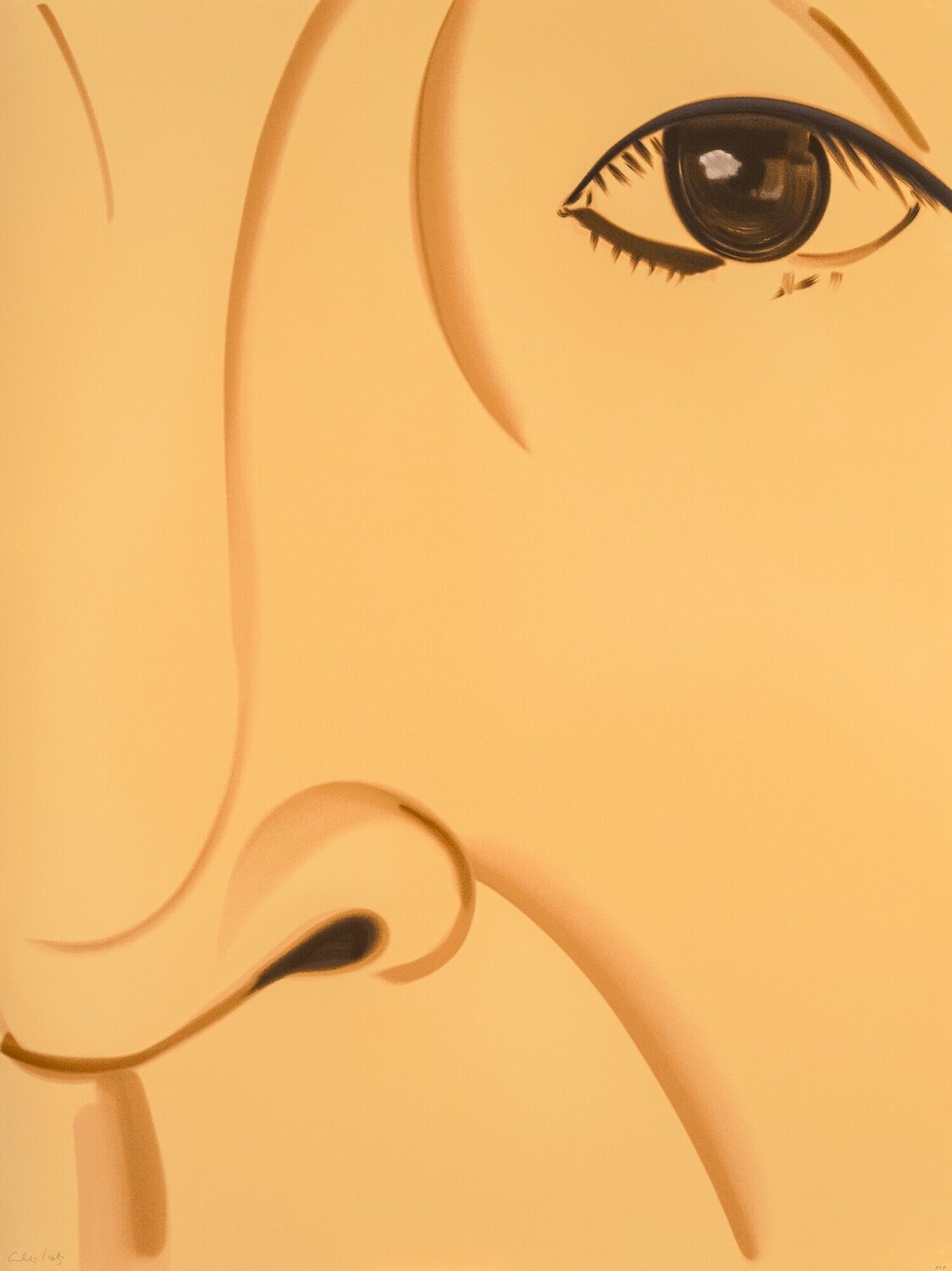 Ada 5 — From the ADA Portfolio Alex Katz Stampa in vendita