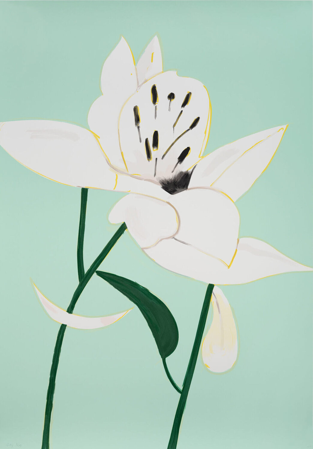 White Lilies 4 Alex Katz Afdruk te koop