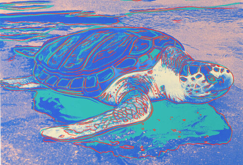 Turtle (FS II.360A) Andy Warhol