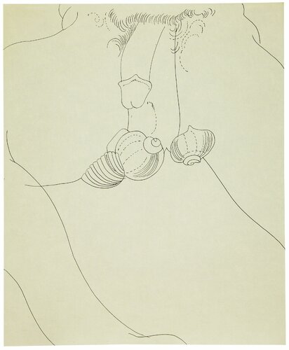 Male Nude with Shells van Andy Warhol, Werk op papier te koop op Singulart