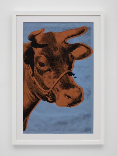 Cow (11a  blue background) di Andy Warhol, Stampa in vendita su Singulart