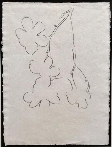 Flowers di Andy Warhol, Opera su carta in vendita su Singulart
