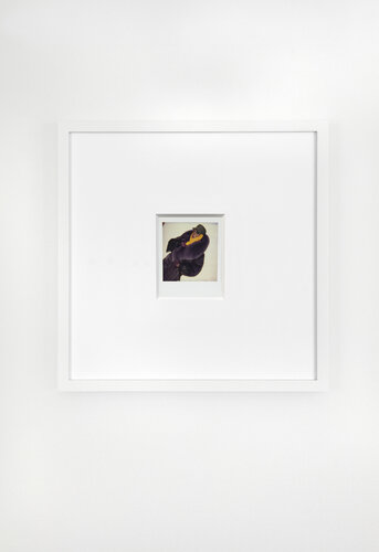 Grace Jones van Andy Warhol, Fotografie te koop op Singulart