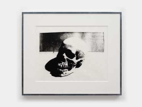 Skull van Andy Warhol, Schilderij te koop op Singulart