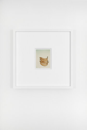Bananas van Andy Warhol, Fotografie te koop op Singulart