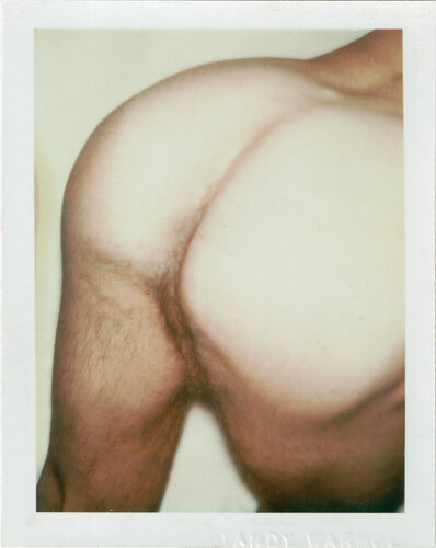 Nude Male Model van Andy Warhol, Fotografie te koop op Singulart