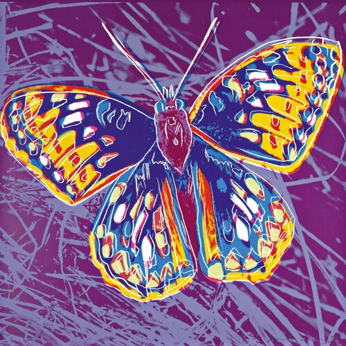 San Francisco Silverspot F&S II.298 van Andy Warhol, Afdruk te koop op Singulart