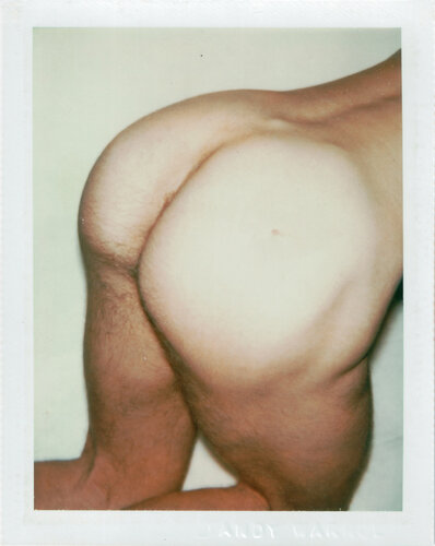 Nude Male Model van Andy Warhol, Fotografie te koop op Singulart