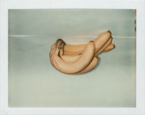 Bananas di Andy Warhol, Fotografia in vendita su Singulart