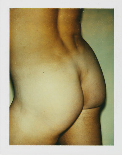 Color Polaroid 'Sex Parts and Torsos' by Andy Warhol di Andy Warhol, Fotografia in vendita su Singulart