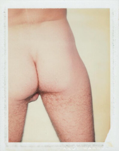 Sex Parts and Torsos di Andy Warhol, Fotografia in vendita su Singulart