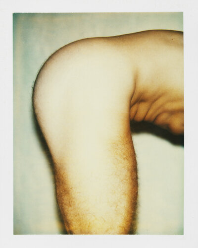 Color Polaroid ‘Sex Parts and Torsos’ by Andy Warhol di Andy Warhol, Fotografia in vendita su Singulart
