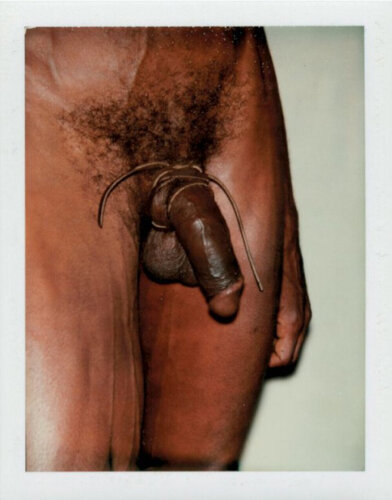 Sex Parts and Torsos van Andy Warhol, Fotografie te koop op Singulart