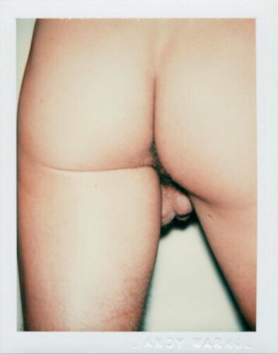 Sex Parts and Torsos di Andy Warhol, Fotografia in vendita su Singulart