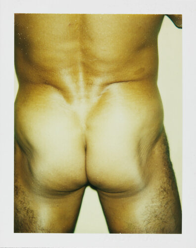 Color Polaroid 'Sex Parts and Torsos' by Andy Warhol par Andy Warhol, Photographie en vente sur Singulart