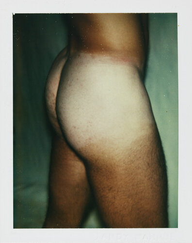 Color Polaroid ‘Sex Parts and Torsos’ by Andy Warhol par Andy Warhol, Photographie en vente sur Singulart
