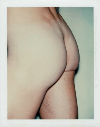 Sex Parts and Torsos van Andy Warhol, Fotografie te koop op Singulart