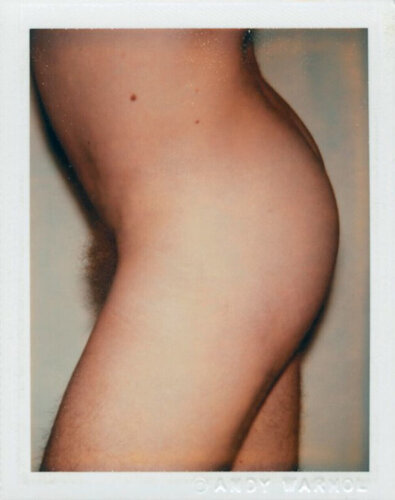 Sex Parts and Torsos van Andy Warhol, Fotografie te koop op Singulart