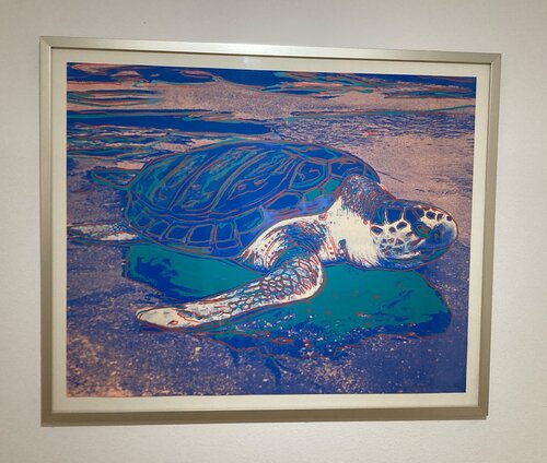 Turtle van Andy Warhol, Afdruk te koop op Singulart