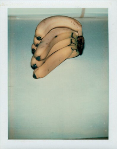 Bananas van Andy Warhol, Fotografie te koop op Singulart