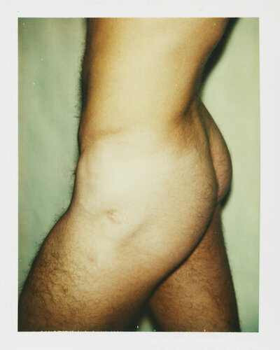 Color Polaroid ‘Sex Parts and Torsos’ by Andy Warhol van Andy Warhol, Fotografie te koop op Singulart