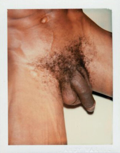 Sex Parts and Torsos van Andy Warhol, Fotografie te koop op Singulart