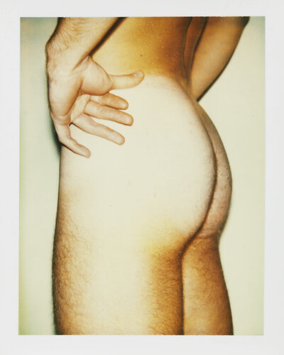 Color Polaroid ‘Sex Parts and Torsos’ by Andy Warhol van Andy Warhol, Fotografie te koop op Singulart