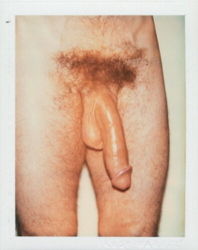 Sex Parts and Torsos van Andy Warhol, Fotografie te koop op Singulart