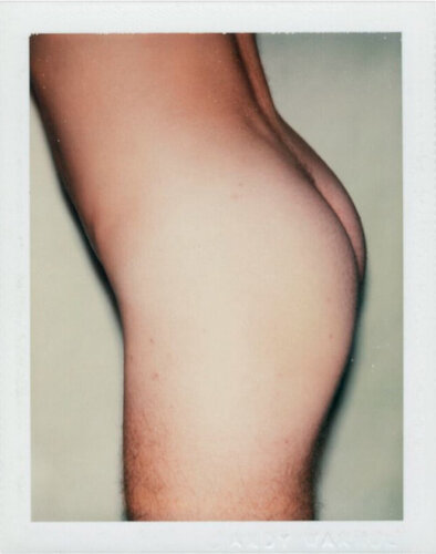 Sex Parts and Torsos van Andy Warhol, Fotografie te koop op Singulart