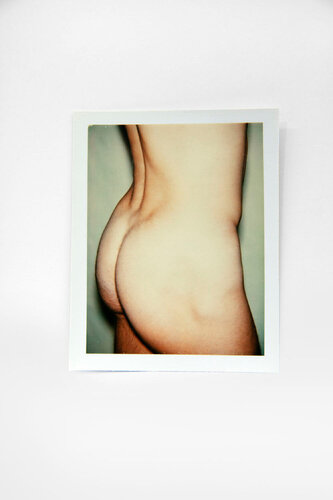 Color Polaroid 'Sex Parts and Torsos' by Andy Warhol van Andy Warhol, Fotografie te koop op Singulart
