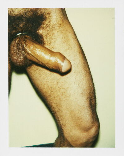 Color Polaroid ‘Sex Parts and Torsos’ by Andy Warhol van Andy Warhol, Fotografie te koop op Singulart