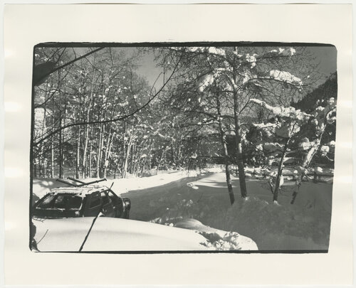 Aspen Colorado Landscape van Andy Warhol, Fotografie te koop op Singulart