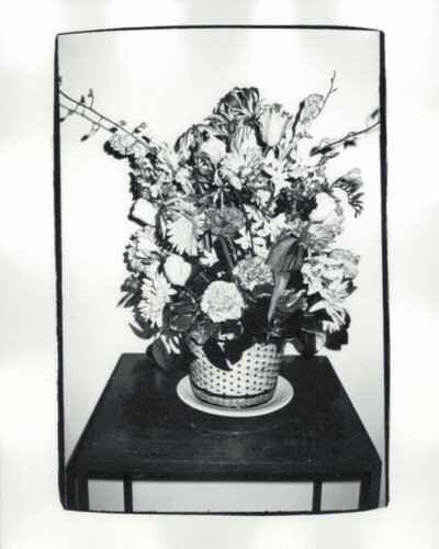 Potted Flowers di Andy Warhol, Fotografia in vendita su Singulart