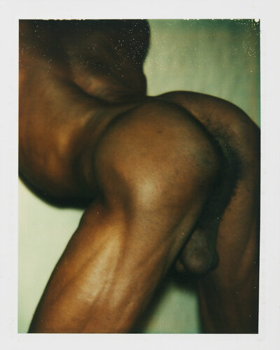 Color Polaroid ‘Sex Parts and Torsos’ by Andy Warhol di Andy Warhol, Fotografia in vendita su Singulart