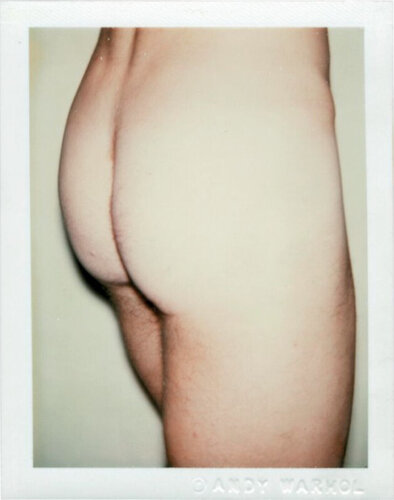 Sex Parts and Torsos di Andy Warhol, Fotografia in vendita su Singulart