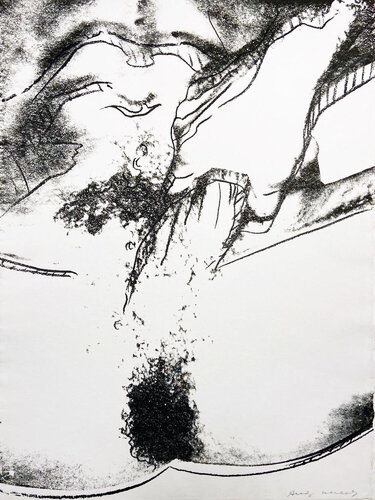 Sex Parts II.177 di Andy Warhol, Stampa in vendita su Singulart