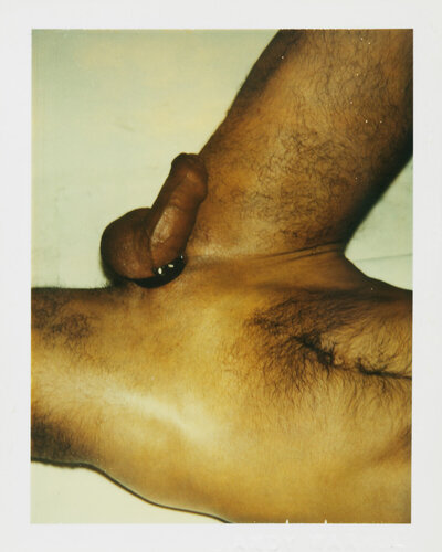 Color Polaroid ‘Sex Parts and Torsos’ by Andy Warhol par Andy Warhol, Photographie en vente sur Singulart