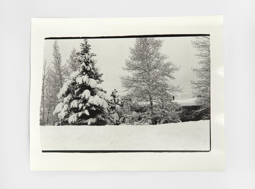 Aspen Colorado Landscape van Andy Warhol, Fotografie te koop op Singulart