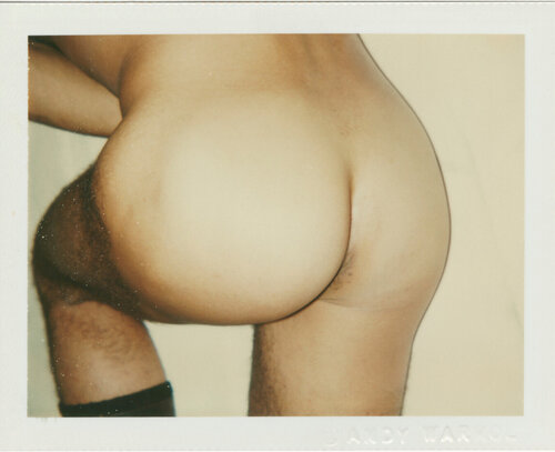 Sex Parts and Torsos di Andy Warhol, Fotografia in vendita su Singulart