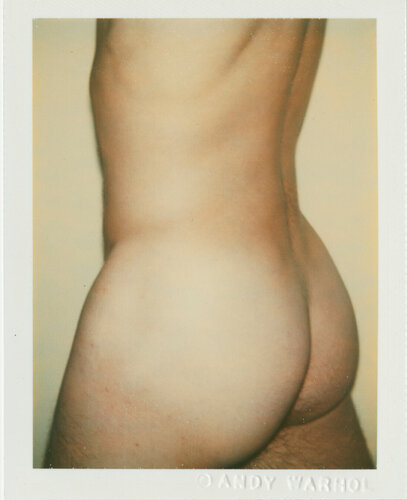 Sex Parts and Torsos di Andy Warhol, Fotografia in vendita su Singulart