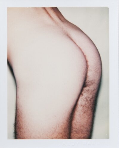 Sex Parts and Torsos di Andy Warhol, Fotografia in vendita su Singulart