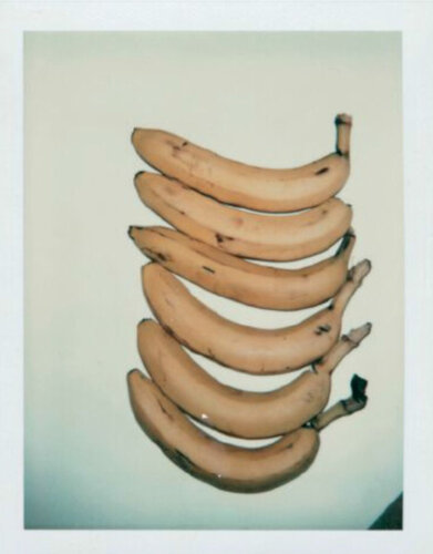 Bananas van Andy Warhol, Fotografie te koop op Singulart