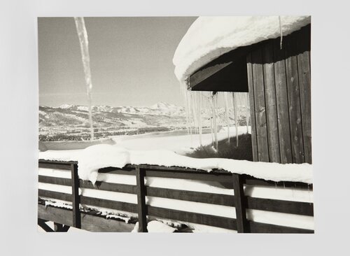 Aspen Colorado Landscape van Andy Warhol, Fotografie te koop op Singulart