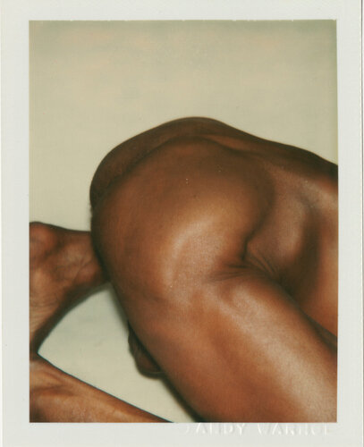 Sex Parts and Torsos di Andy Warhol, Fotografia in vendita su Singulart