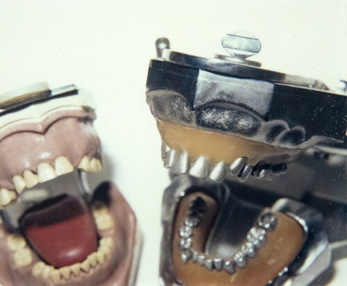 Dental Molds di Andy Warhol, Fotografia in vendita su Singulart