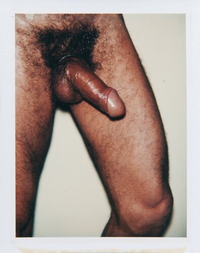 Sex Parts and Torsos di Andy Warhol, Fotografia in vendita su Singulart