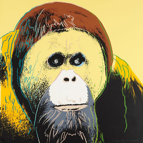 Orangutan (FS II.299) di Andy Warhol, Stampa in vendita su Singulart