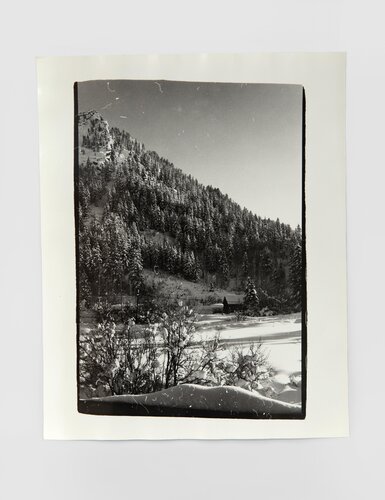 Aspen Colorado Landscape van Andy Warhol, Fotografie te koop op Singulart